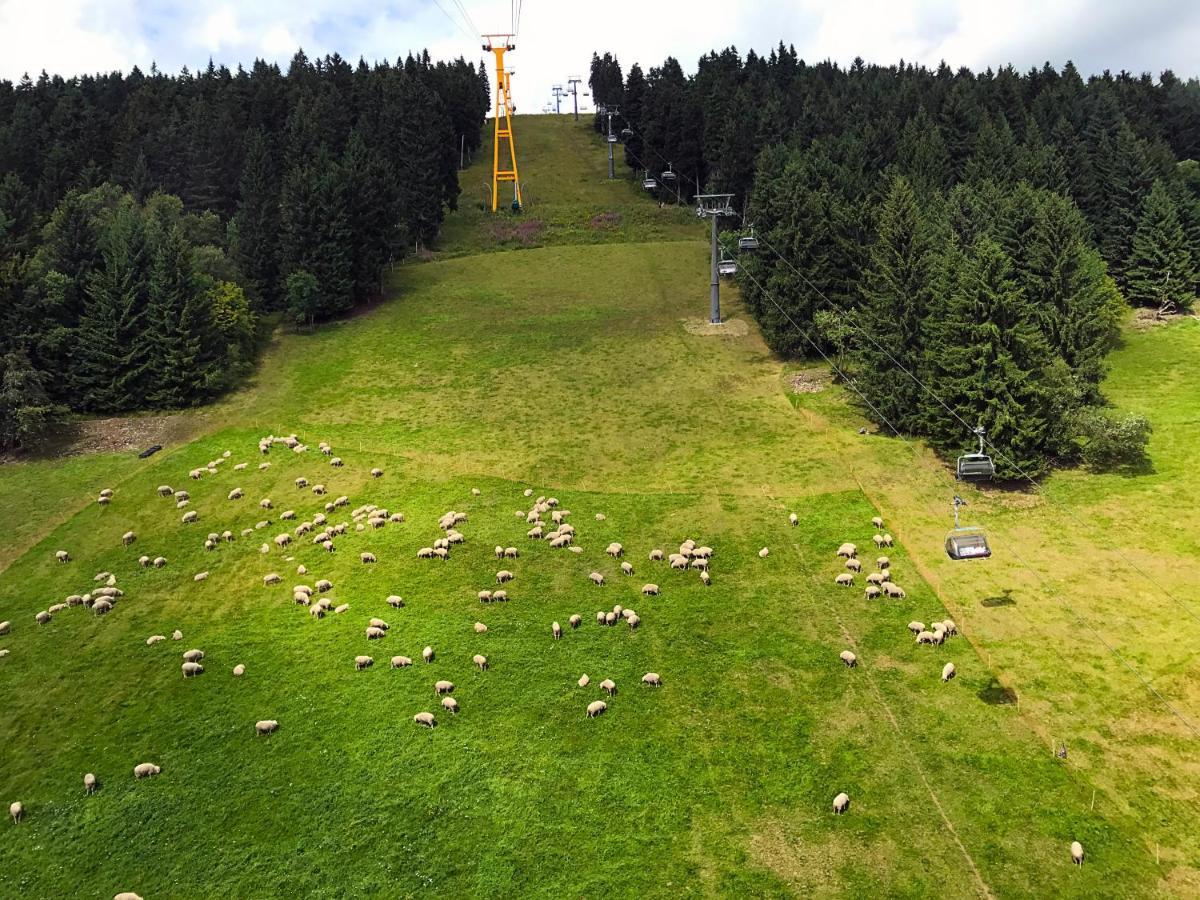 Landhaus-chalet-keilberger Blick Apartment Oberwiesenthal